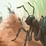 Ants.io